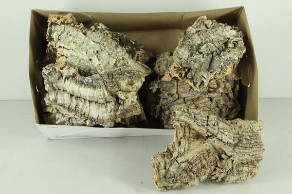 <h4>Cork Pieces 15x20cm Box</h4>