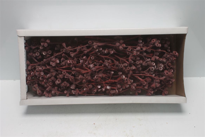 <h4>Conical Gum Branch Red Frosted (50 St)</h4>