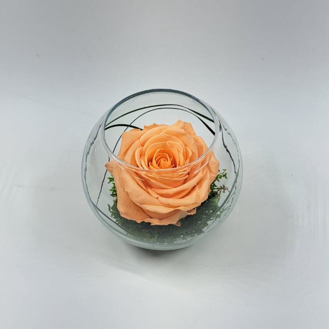 <h4>Bolvaas d12cm perzik glas glas</h4>