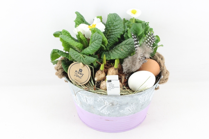 <h4>arr4 Outdoor PL - Zink rond vlinder mix</h4>