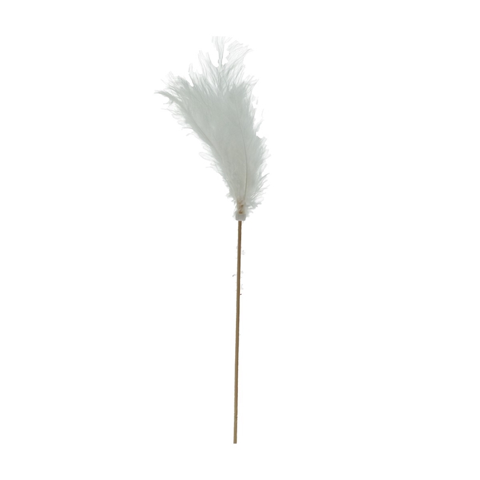 <h4>Bijsteker 50cm Veren</h4>